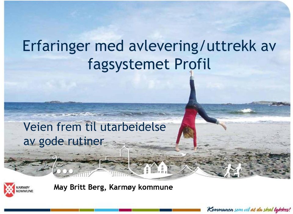 fagsystemet Profil Veien frem