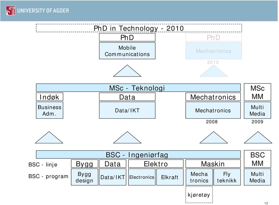 Data/IKT Mechatronics Multi Media 2008 2009 BSC - linje Bygg BSC - Ingeniørfag Data