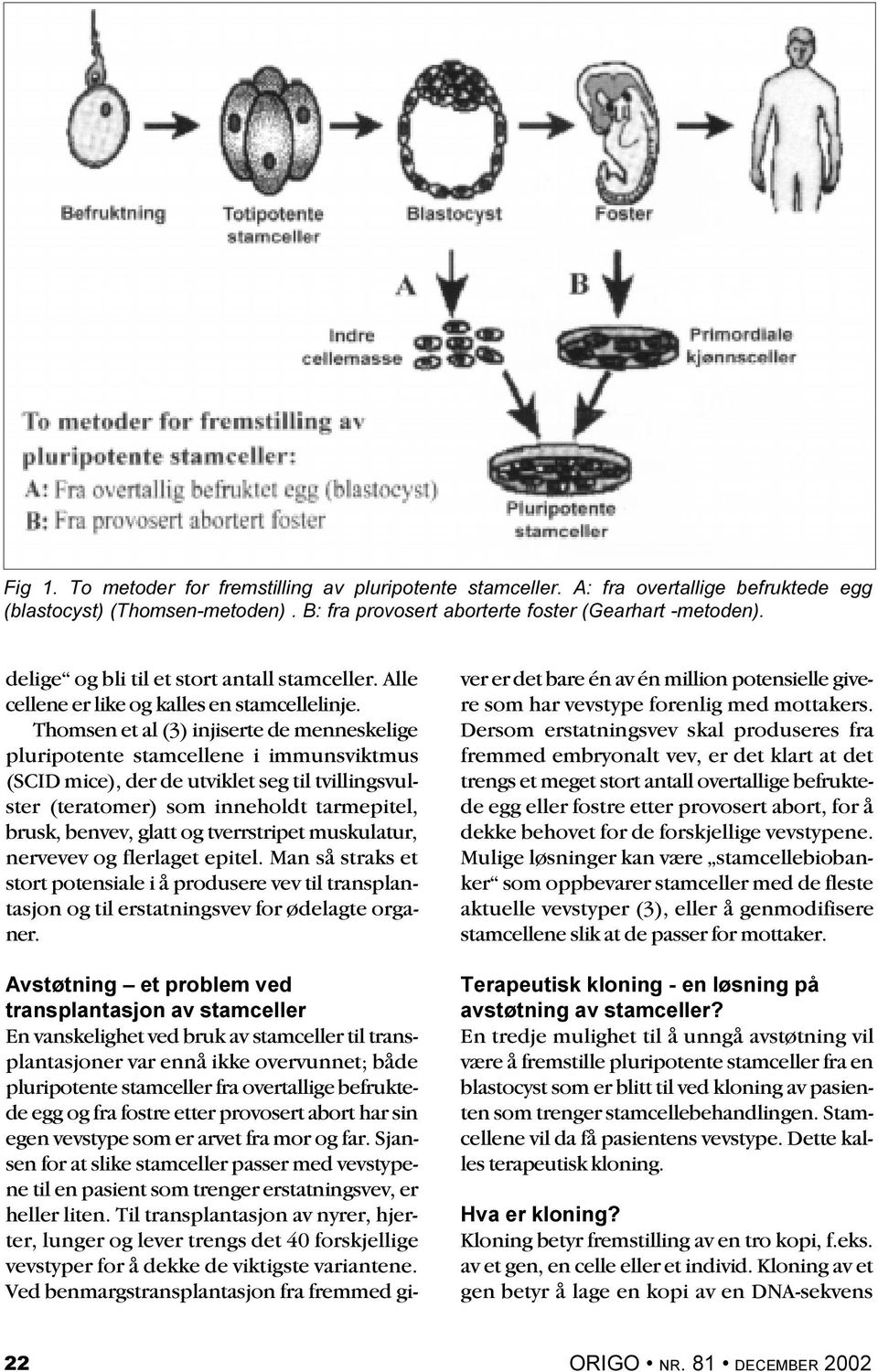 Thomsen et al (3) injiserte de menneskelige pluripotente stamcellene i immunsviktmus (SCID mice), der de utviklet seg til tvillingsvulster (teratomer) som inneholdt tarmepitel, brusk, benvev, glatt