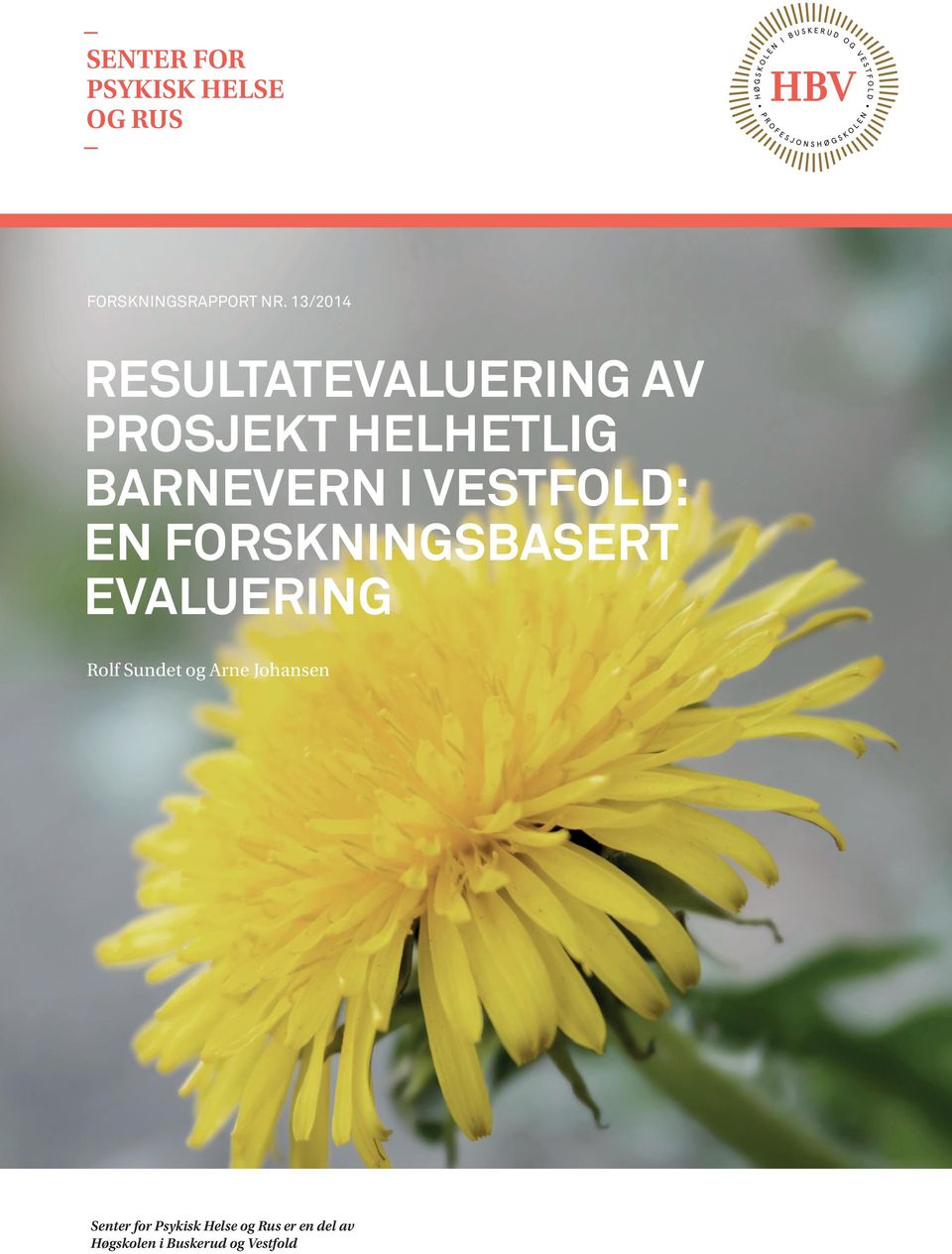 VESTFOLD: EN FORSKNINGSBASERT EVALUERING Rolf Sundet og Arne