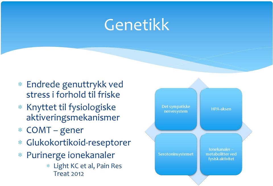 COMT gener Glukokortikoid-reseptorer Purinerge