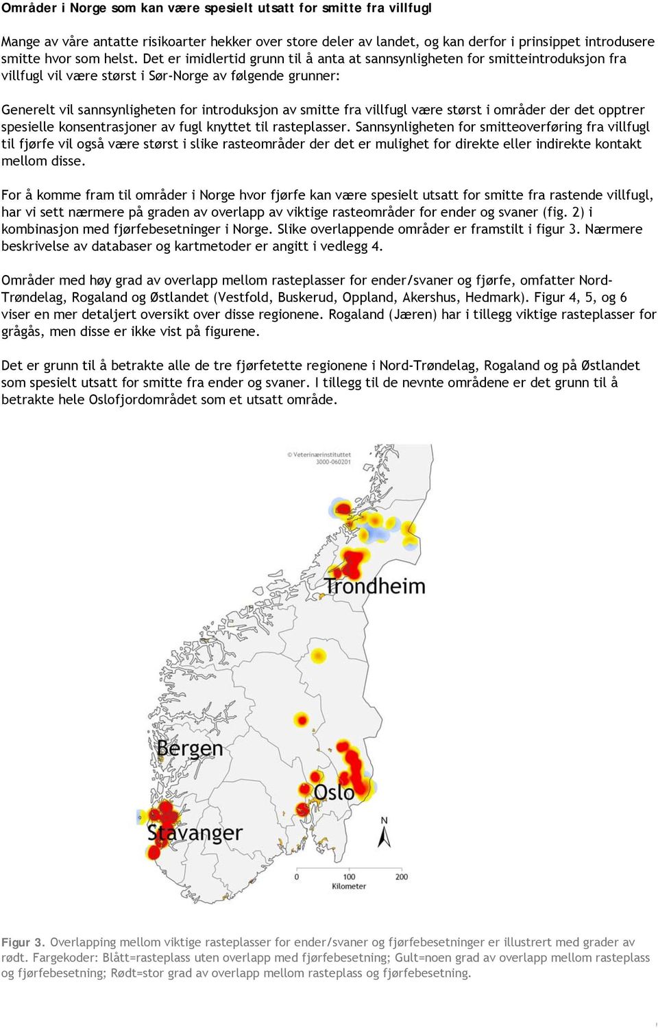 villfugl være størst i områder der det opptrer spesielle konsentrasjoner av fugl knyttet til rasteplasser.