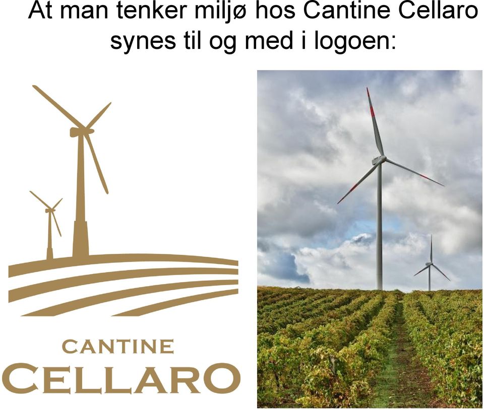 Cantine Cellaro