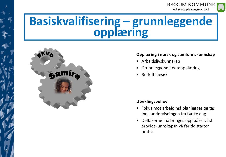 Utviklingsbehov Fokus mot arbeid må planlegges og tas inn i undervisningen fra