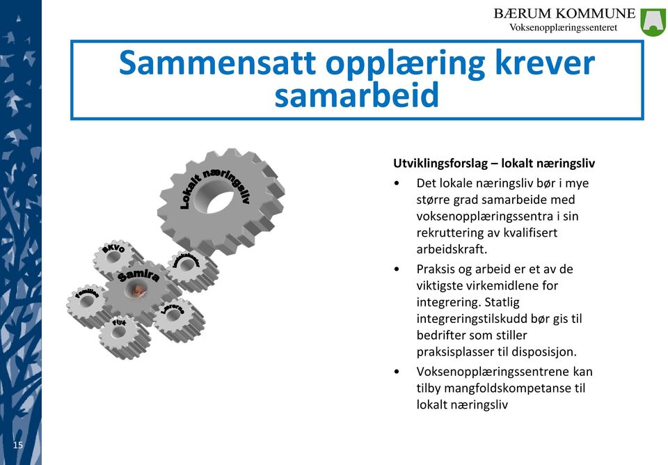 Praksis og arbeid er et av de viktigste virkemidlene for integrering.