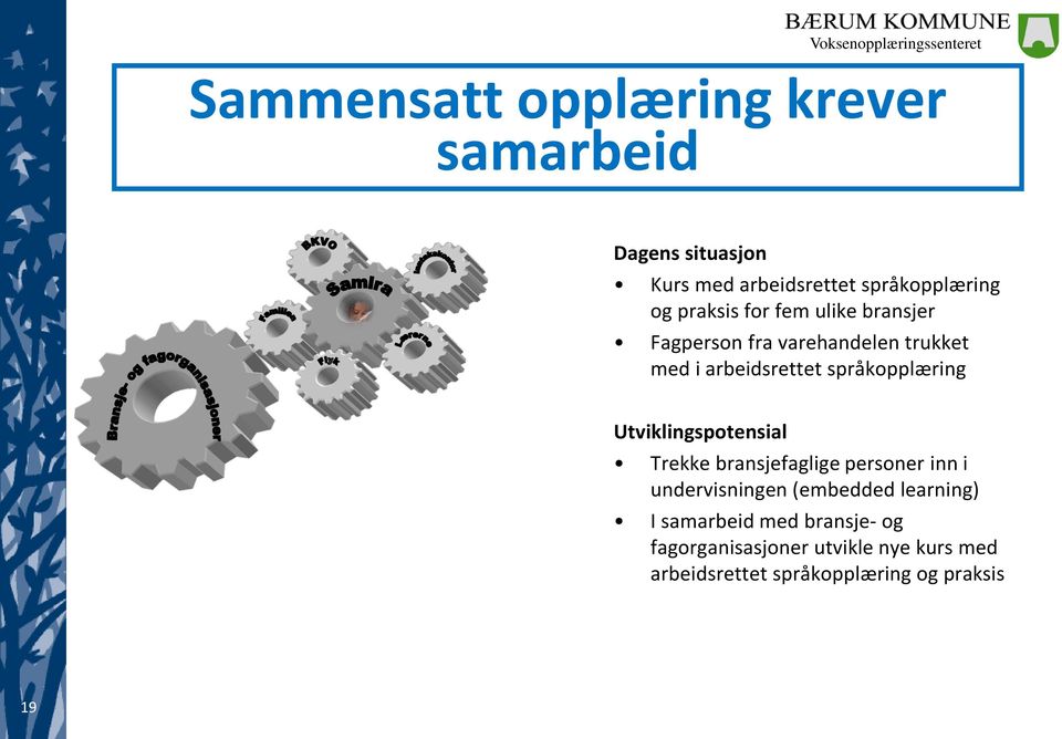 språkopplæring Utviklingspotensial Trekke bransjefaglige personer inn i undervisningen (embedded