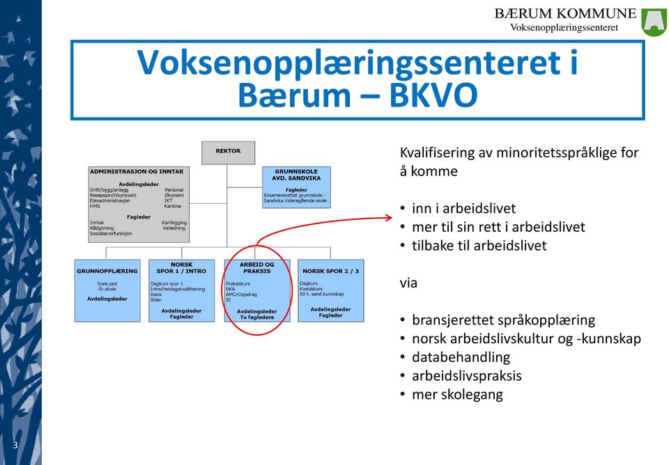 arbeidslivet tilbake til arbeidslivet via bransjerettet språkopplæring