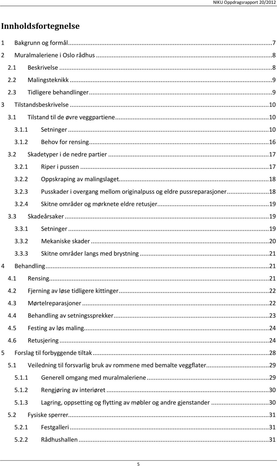 .. 18 3.2.3 Pusskader i overgang mellom originalpuss og eldre pussreparasjoner... 18 3.2.4 Skitne områder og mørknete eldre retusjer... 19 3.3 Skadeårsaker... 19 3.3.1 Setninger... 19 3.3.2 Mekaniske skader.