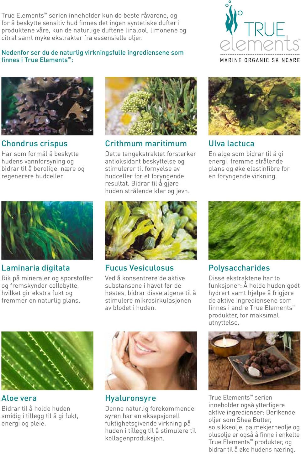 Nedenfor ser du de naturlig virkningsfulle ingrediensene som finnes i True Elements : Chondrus crispus Har som formål å beskytte hudens vannforsyning og bidrar til å berolige, nære og regenerere