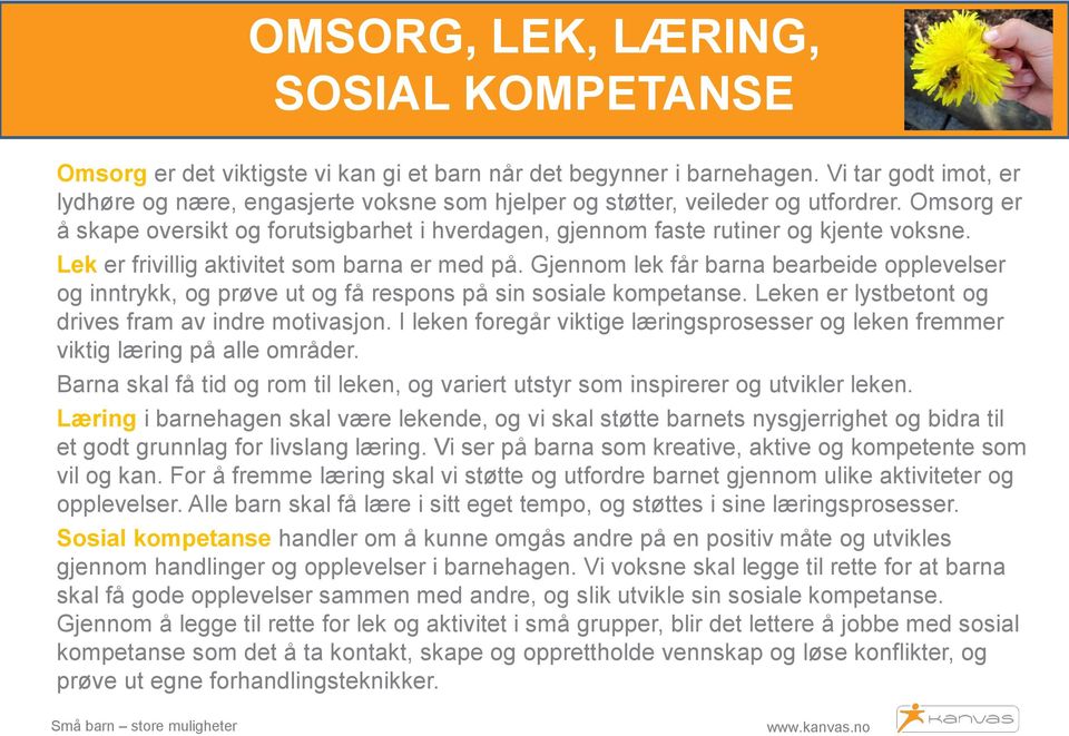 Lek er frivillig aktivitet som barna er med på. Gjennom lek får barna bearbeide opplevelser og inntrykk, og prøve ut og få respons på sin sosiale kompetanse.