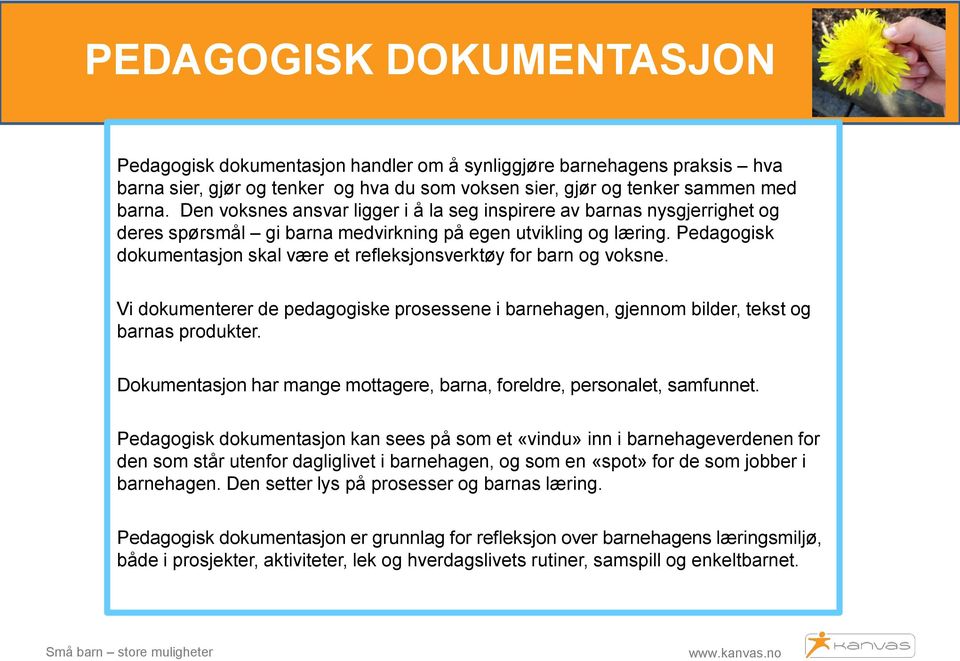 Pedagogisk dokumentasjon skal være et refleksjonsverktøy for barn og voksne. Vi dokumenterer de pedagogiske prosessene i barnehagen, gjennom bilder, tekst og barnas produkter.