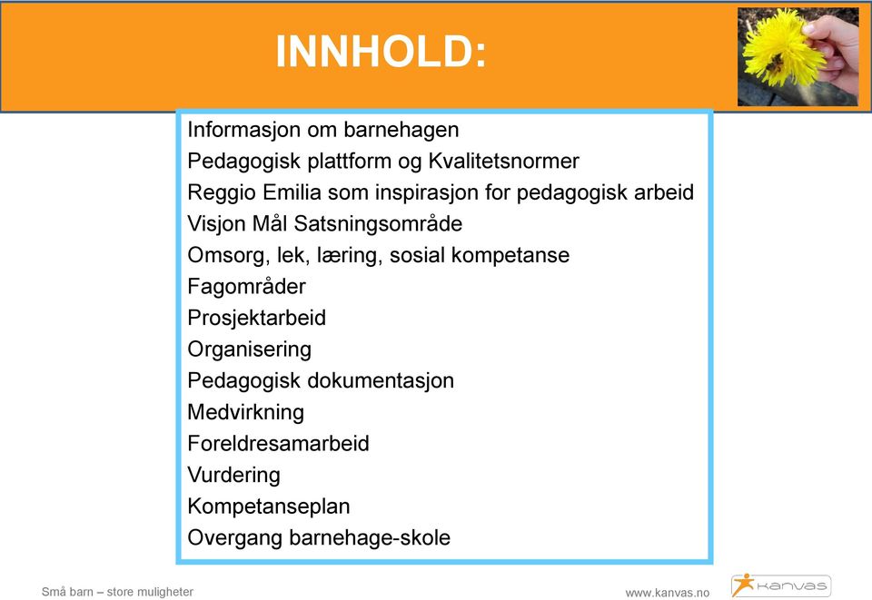 lek, læring, sosial kompetanse Fagområder Prosjektarbeid Organisering Pedagogisk