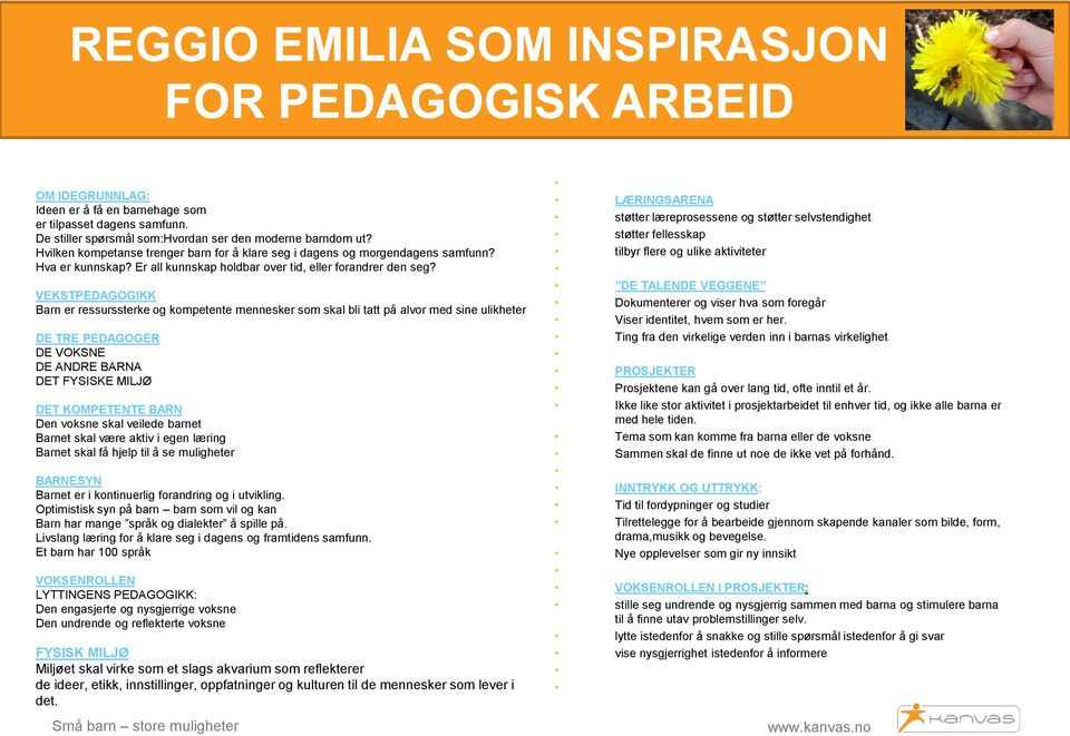 VEKSTPEDAGOGIKK Barn er ressurssterke og kompetente mennesker som skal bli tatt på alvor med sine ulikheter DE TRE PEDAGOGER DE VOKSNE DE ANDRE BARNA DET FYSISKE MILJØ DET KOMPETENTE BARN Den voksne