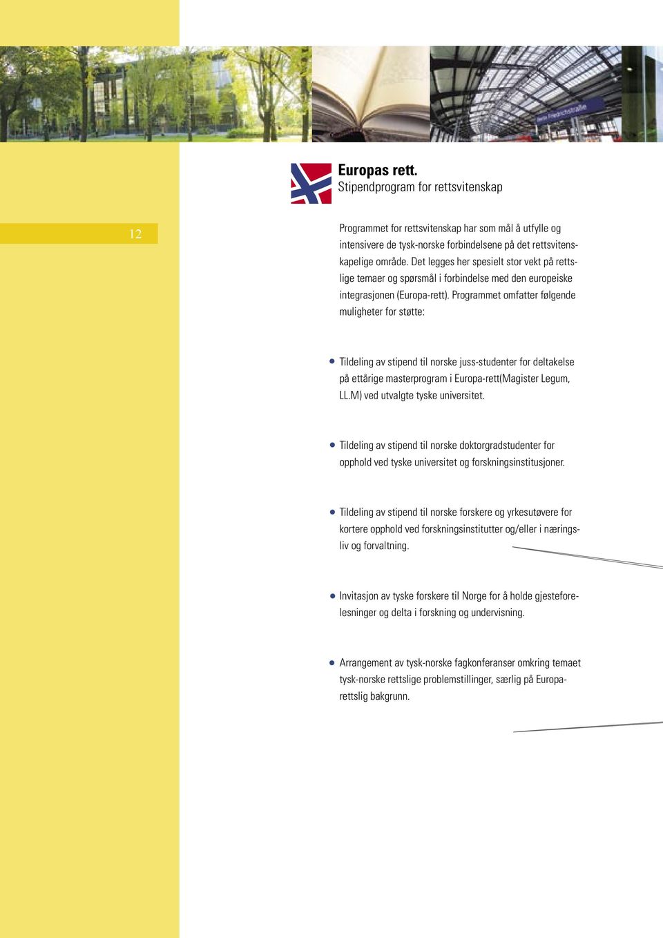 Programmet omfatter følgende muligheter for støtte: Tildeling av stipend til norske juss-studenter for deltakelse på ettårige masterprogram i Europa-rett(Magister Legum, LL.