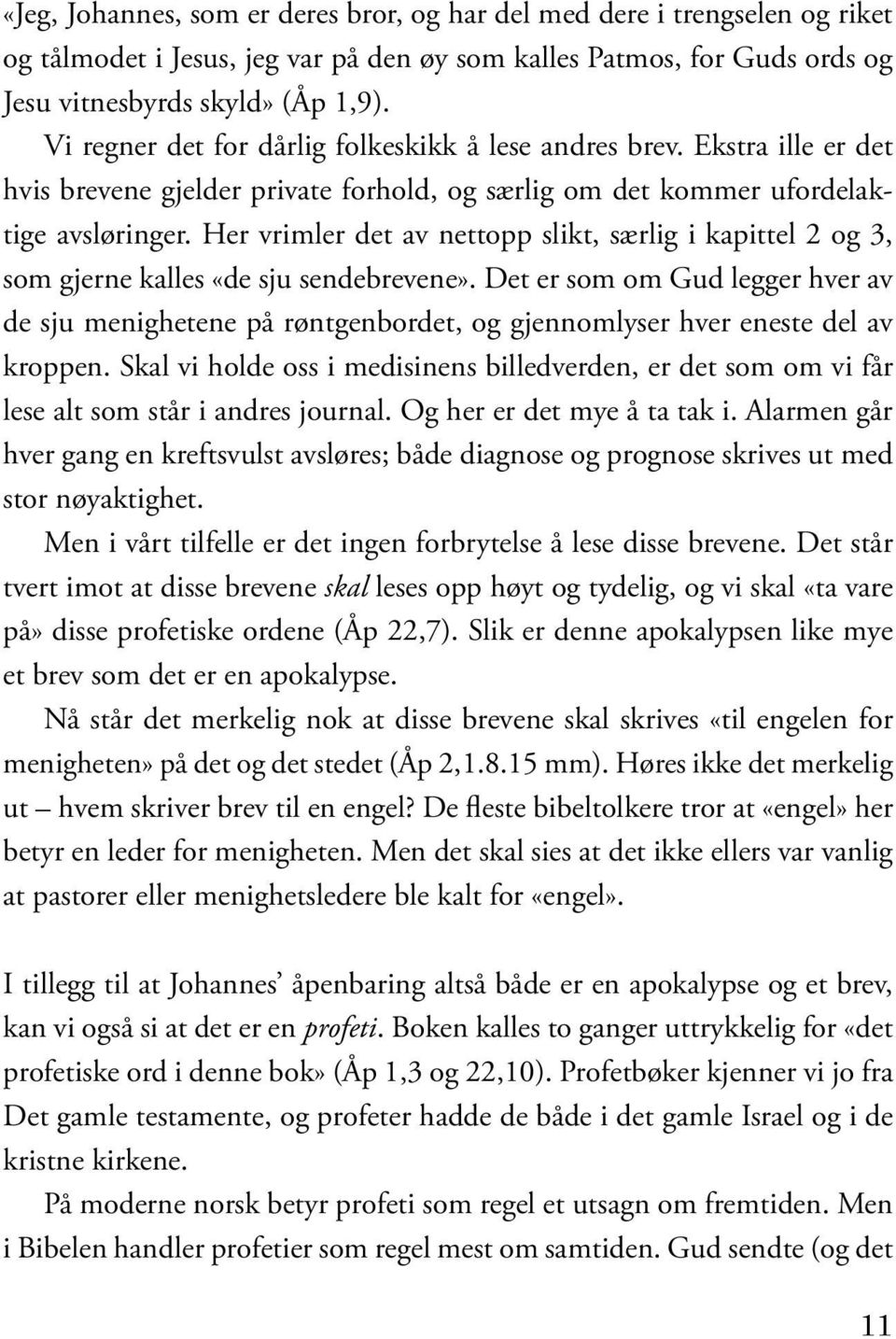 Her vrimler det av nettopp slikt, særlig i kapittel 2 og 3, som gjerne kalles «de sju sendebrevene».