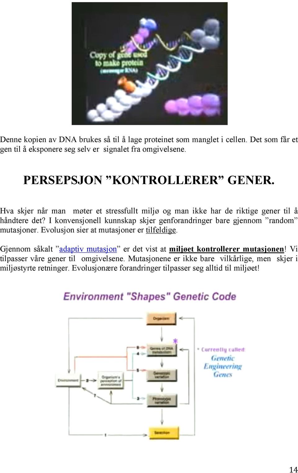 I konvensjonell kunnskap skjer genforandringer bare gjennom random mutasjoner. Evolusjon sier at mutasjoner er tilfeldige.