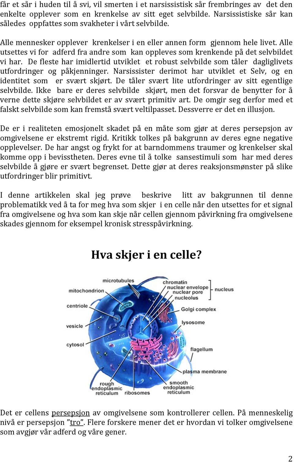 Alle utsettes vi for adferd fra andre som kan oppleves som krenkende på det selvbildet vi har.