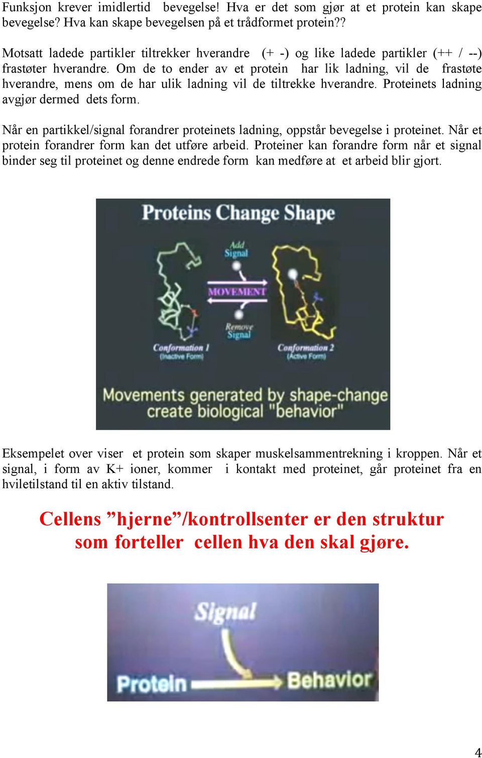 Om de to ender av et protein har lik ladning, vil de frastøte hverandre, mens om de har ulik ladning vil de tiltrekke hverandre. Proteinets ladning avgjør dermed dets form.