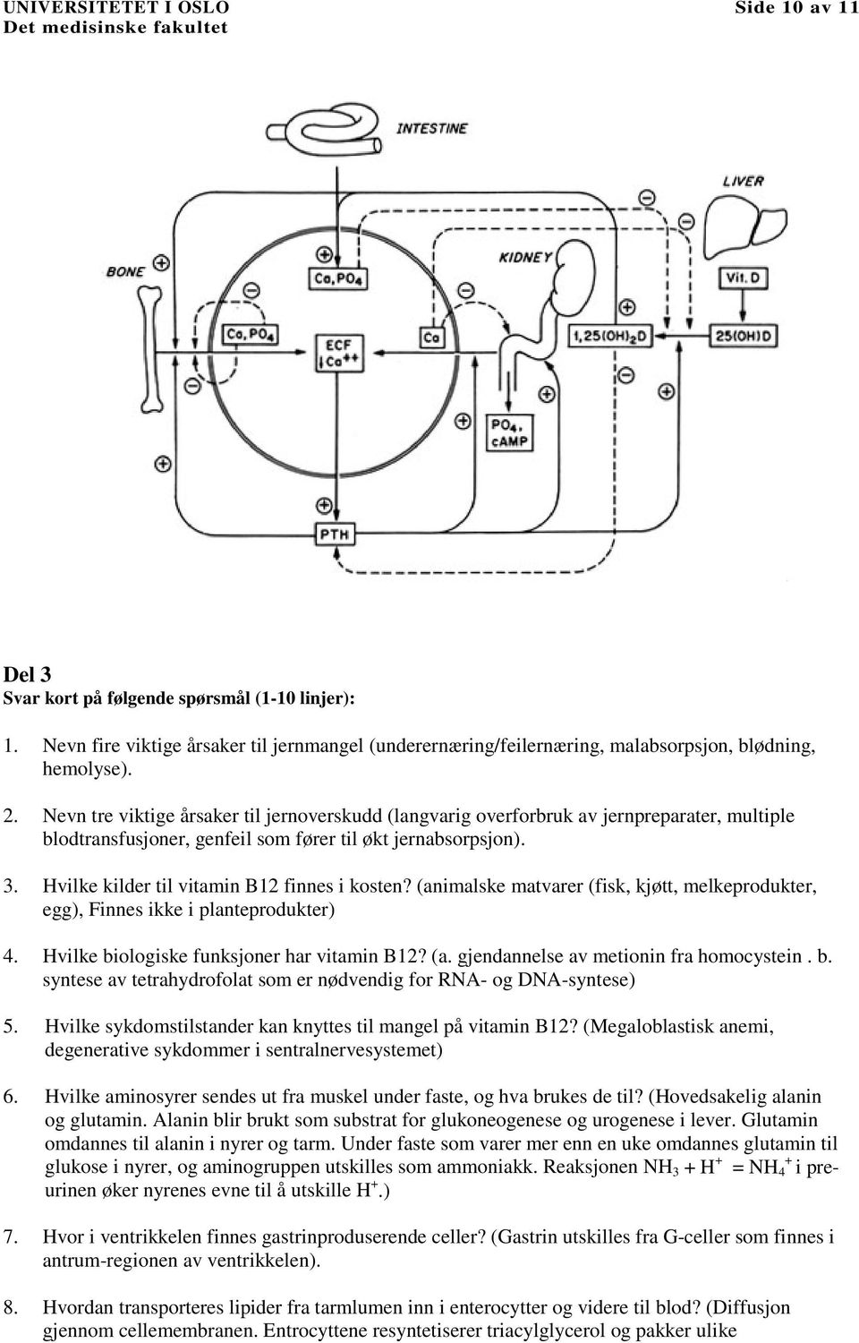 Hvilke kilder til vitamin B12 finnes i kosten? (animalske matvarer (fisk, kjøtt, melkeprodukter, egg), Finnes ikke i planteprodukter) 4. Hvilke biologiske funksjoner har vitamin B12? (a. gjendannelse av metionin fra homocystein.