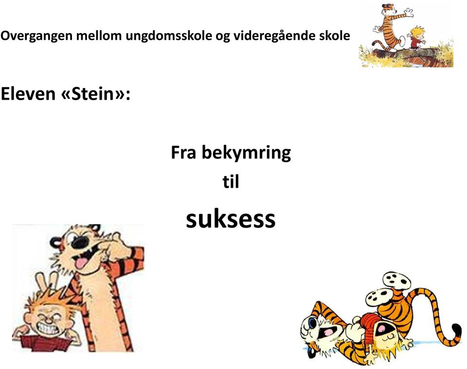 videregående skole