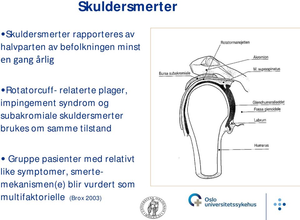 subakromiale skuldersmerter brukes om samme tilstand Gruppe pasienter med