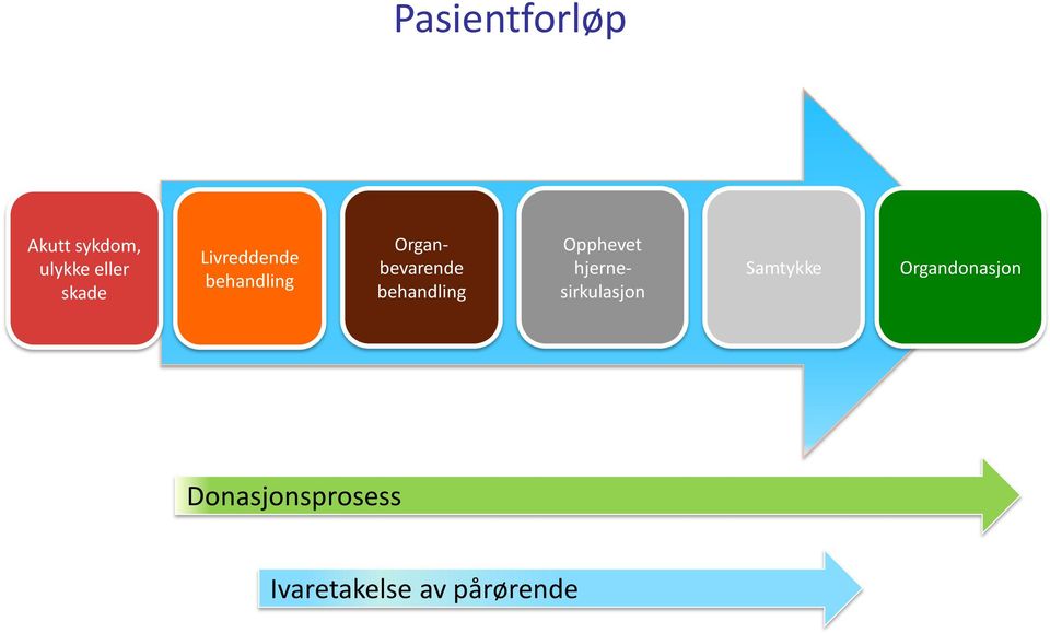 behandling Opphevet hjernesirkulasjon Samtykke