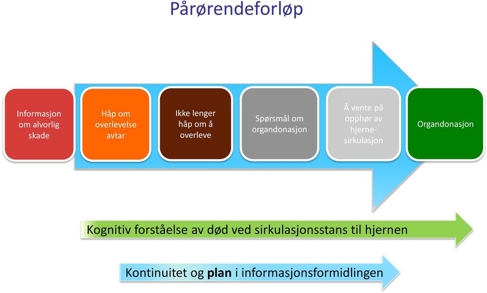 opphør av hjernesirkulasjon Organdonasjon Kognitiv forståelse av død