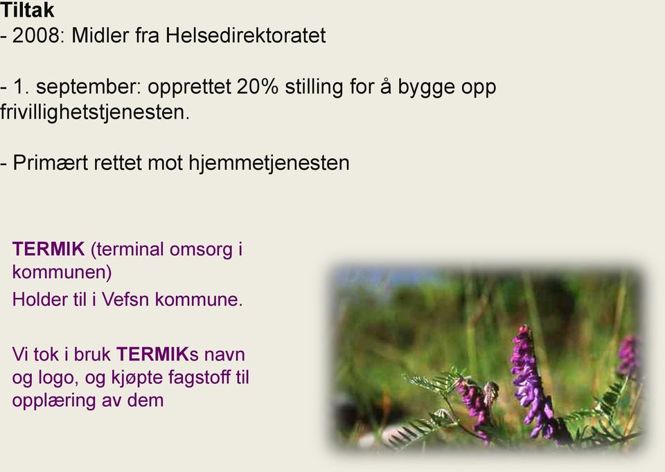 - Primært rettet mot hjemmetjenesten TERMIK (terminal omsorg i kommunen)