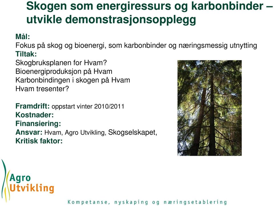 Bioenergiproduksjon på Hvam Karbonbindingen i skogen på Hvam Hvam tresenter?