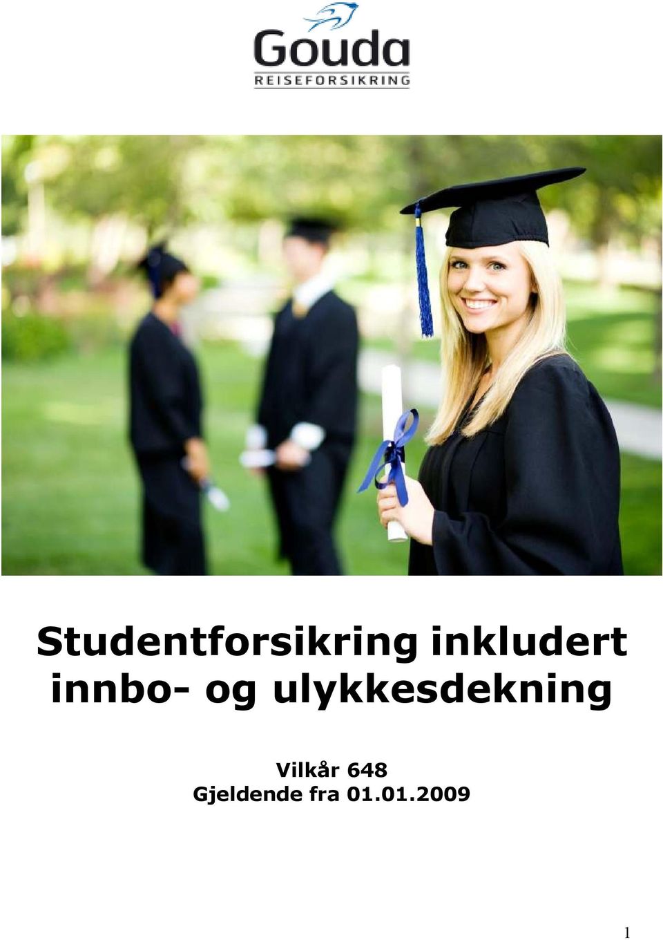 ulykkesdekning Vilkår