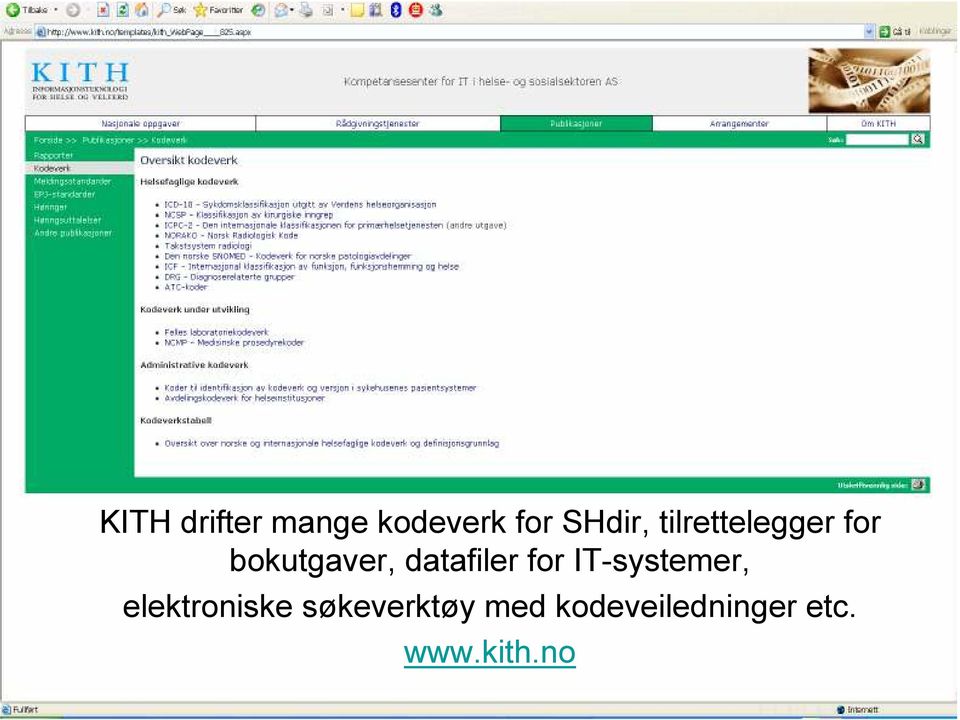 datafiler for IT-systemer, elektroniske