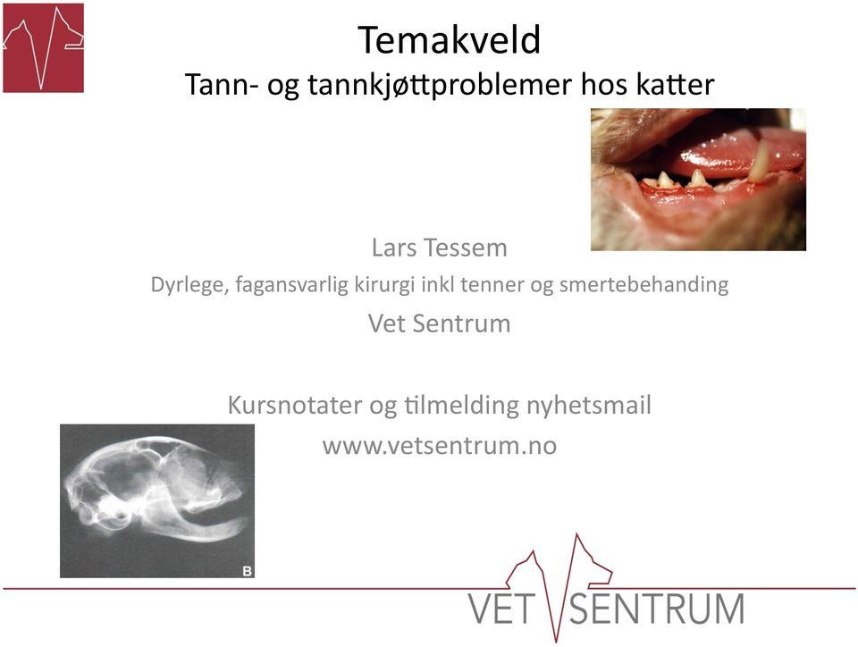 tenner og smertebehanding Vet Sentrum