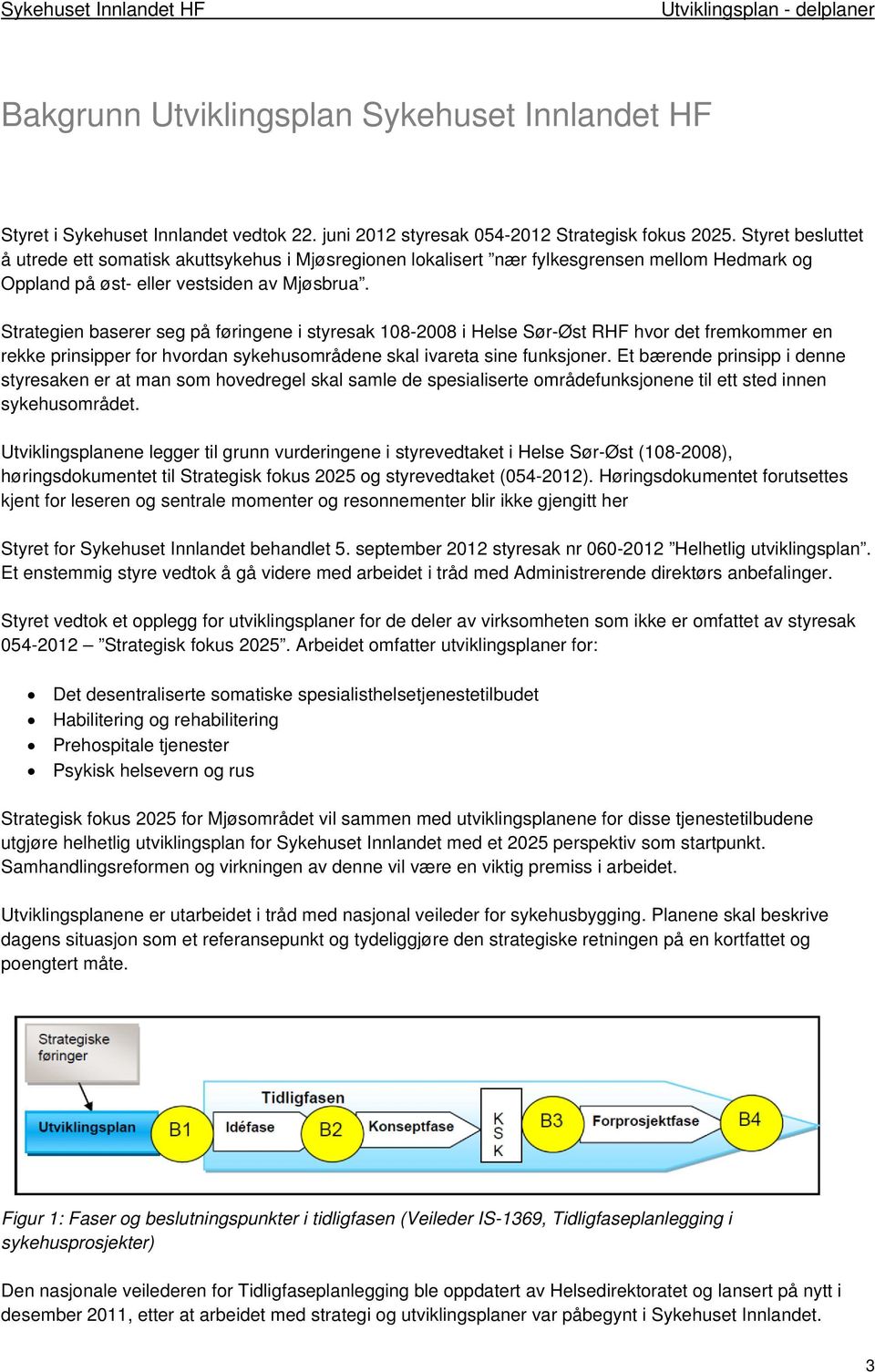 Strategien baserer seg på føringene i styresak 108-2008 i Helse Sør-Øst RHF hvor det fremkommer en rekke prinsipper for hvordan sykehusområdene skal ivareta sine funksjoner.