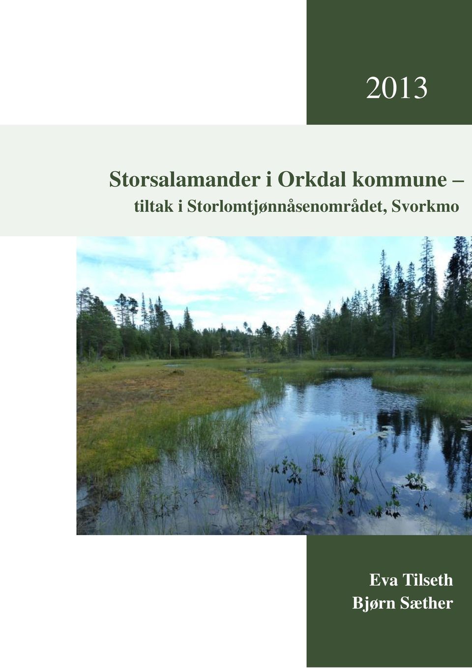 Storlomtjønnåsenområdet,