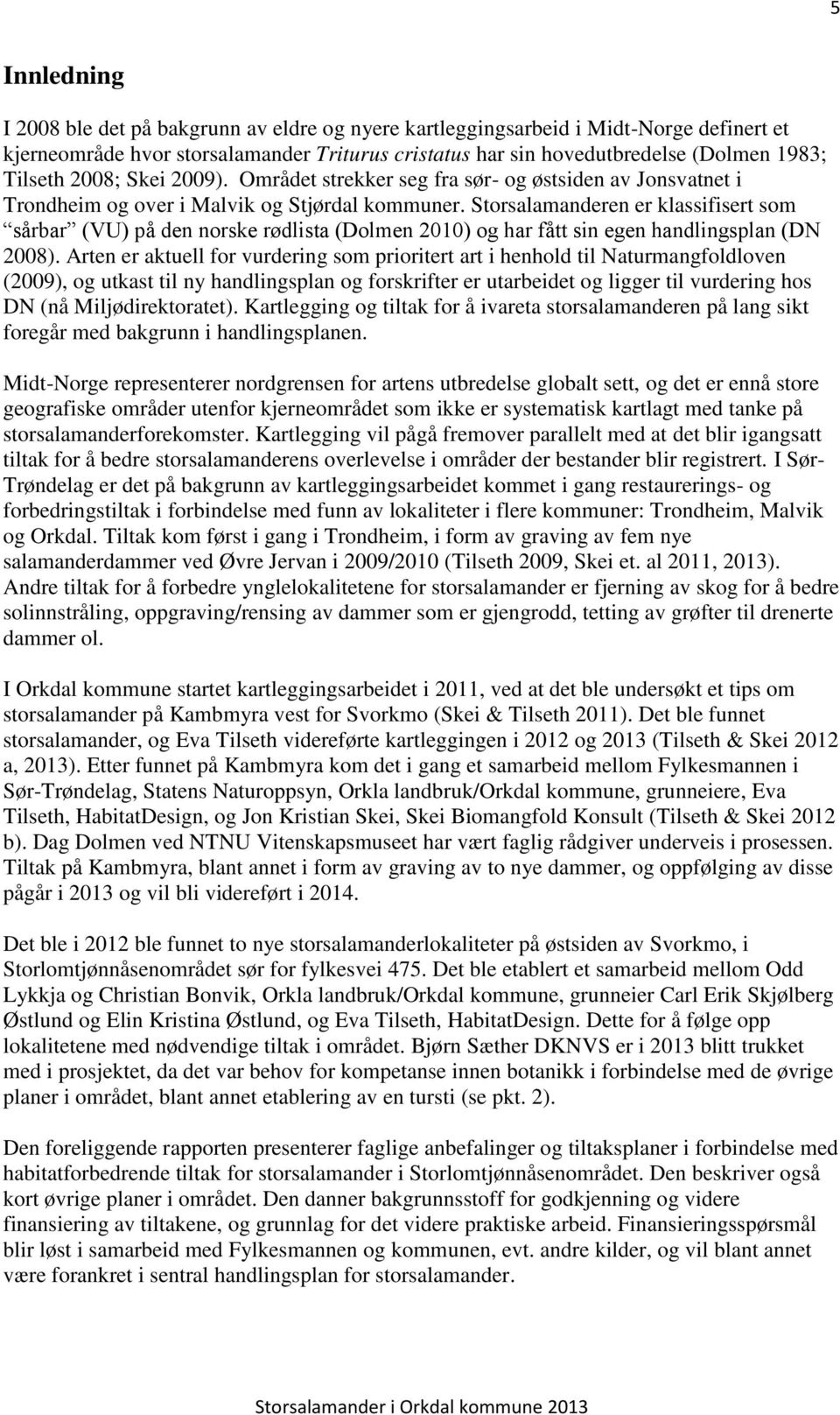 Storsalamanderen er klassifisert som sårbar (VU) på den norske rødlista (Dolmen 2010) og har fått sin egen handlingsplan (DN 2008).