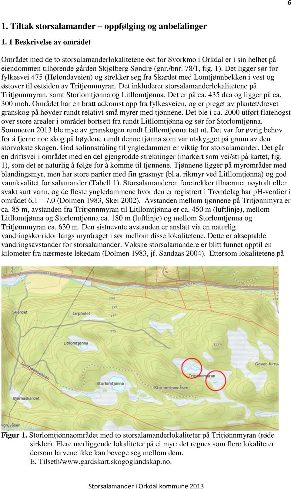 Det ligger sør for fylkesvei 475 (Hølondaveien) og strekker seg fra Skardet med Lomtjønnbekken i vest og østover til østsiden av Tritjønnmyran.