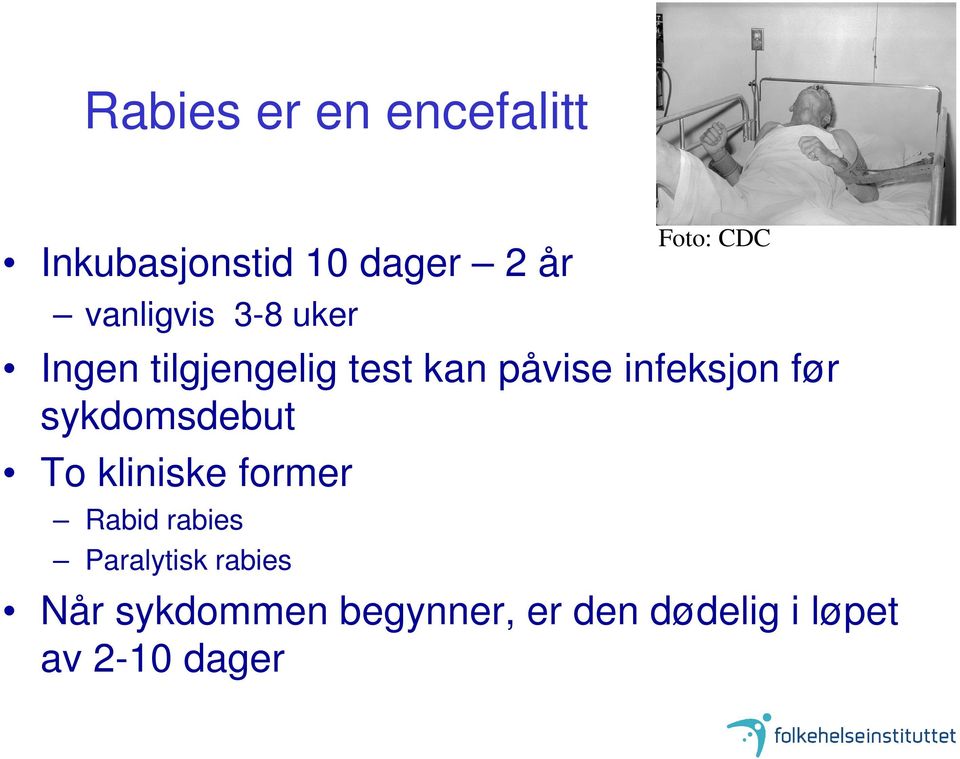 sykdomsdebut To kliniske former Rabid rabies Paralytisk rabies