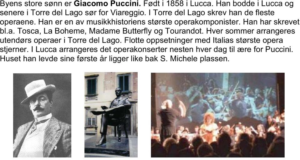 Hver sommer arrangeres utendørs operaer i Torre del Lago. Flotte oppsetninger med Italias største opera stjerner.