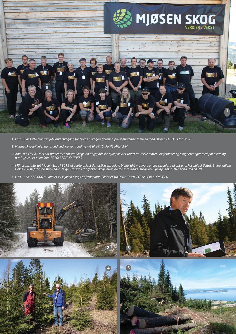FOTO: BERIT SANNESS 4 I Ringsaker startet Mjøsen Skog i 2013 et pilotprosjekt der aktive skogeiere bidrar til å motivere andre skogeiere til økt ungskogpleieaktivitet.