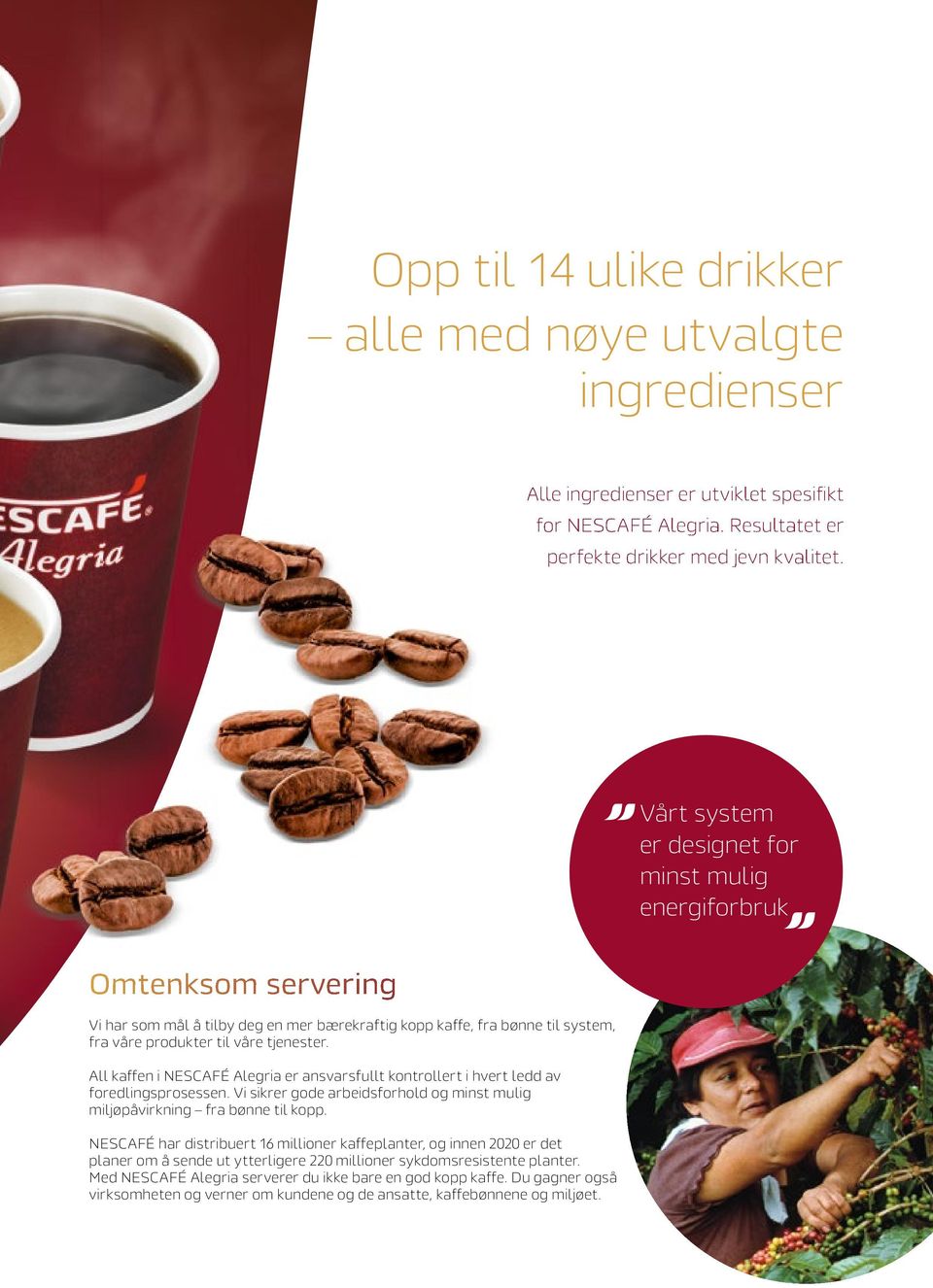 All kaffen i NESCAFÉ Alegria er ansvarsfullt kontrollert i hvert ledd av foredlingsprosessen. Vi sikrer gode arbeidsforhold og minst mulig miljøpåvirkning fra bønne til kopp.