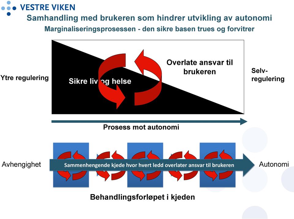 brukeren Selvregulering Prosess mot autonomi Avhengighet Sykehus DPS Kommune