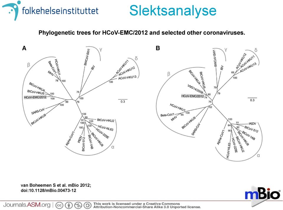 other coronaviruses.