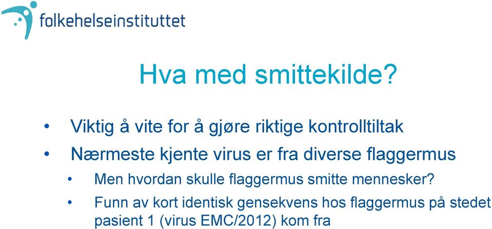 virus er fra diverse flaggermus Men hvordan skulle flaggermus