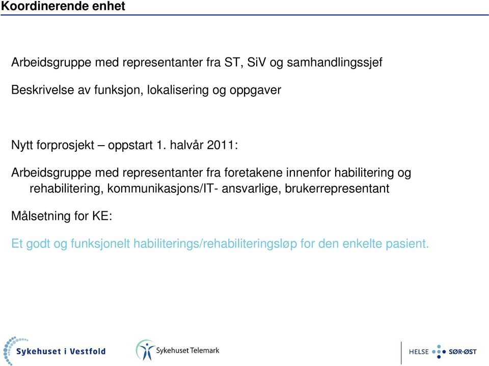 halvår 2011: Arbeidsgruppe med representanter fra foretakene innenfor habilitering og rehabilitering,