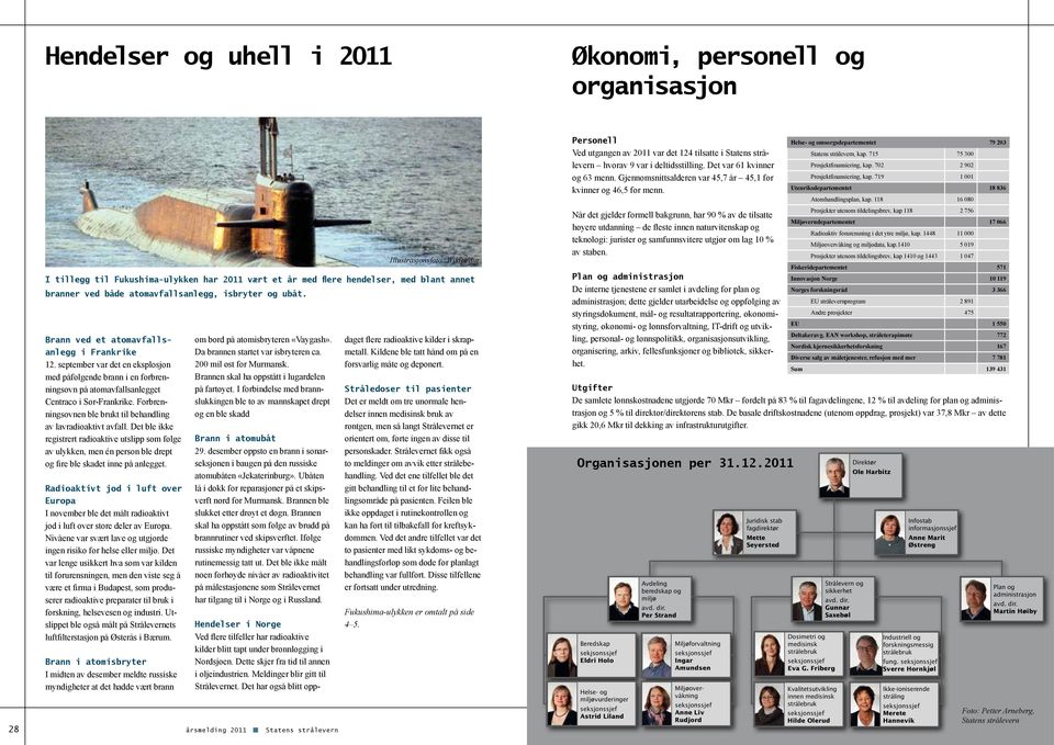 Forbrenningsovnen ble brukt til behandling av lavradioaktivt avfall. Det ble ikke registrert radioaktive utslipp som følge av ulykken, men én person ble drept og fire ble skadet inne på anlegget.