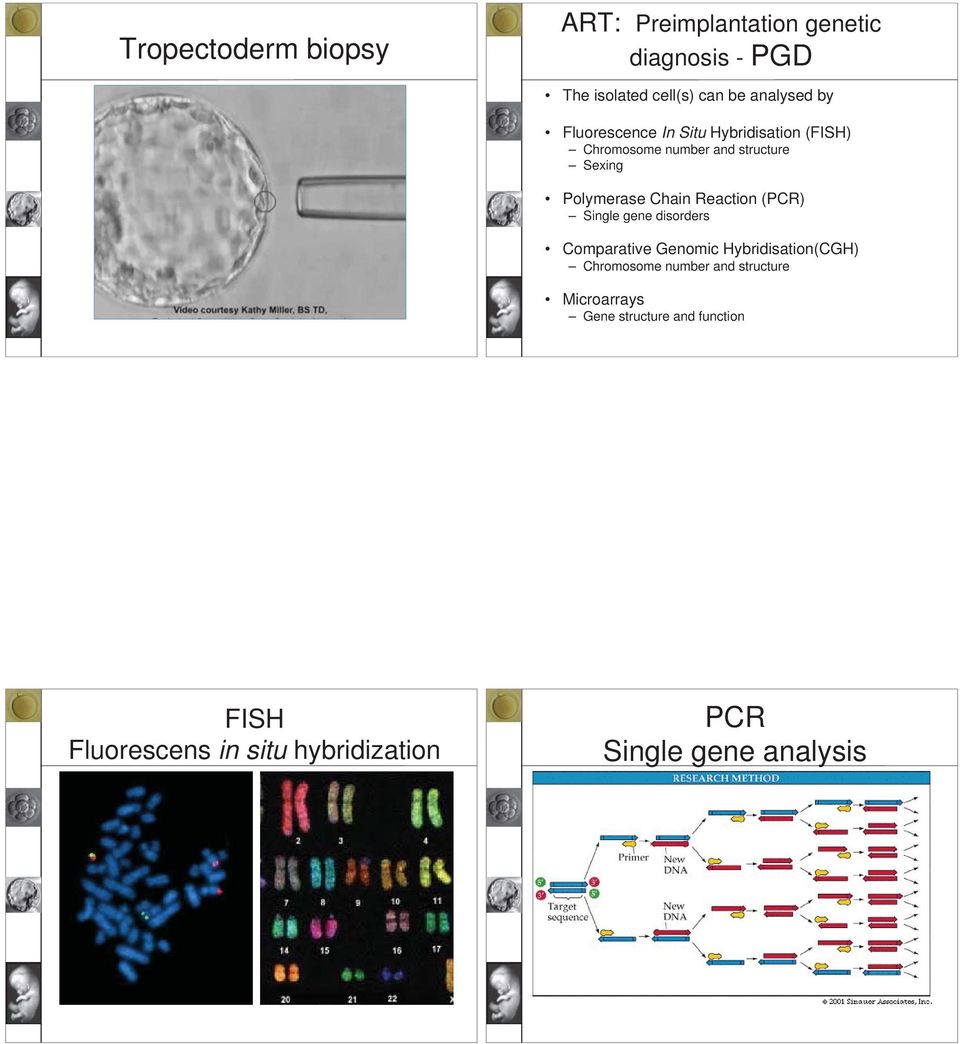 Reaction (PCR) Single gene disorders Comparative Genomic Hybridisation(CGH) Chromosome number and