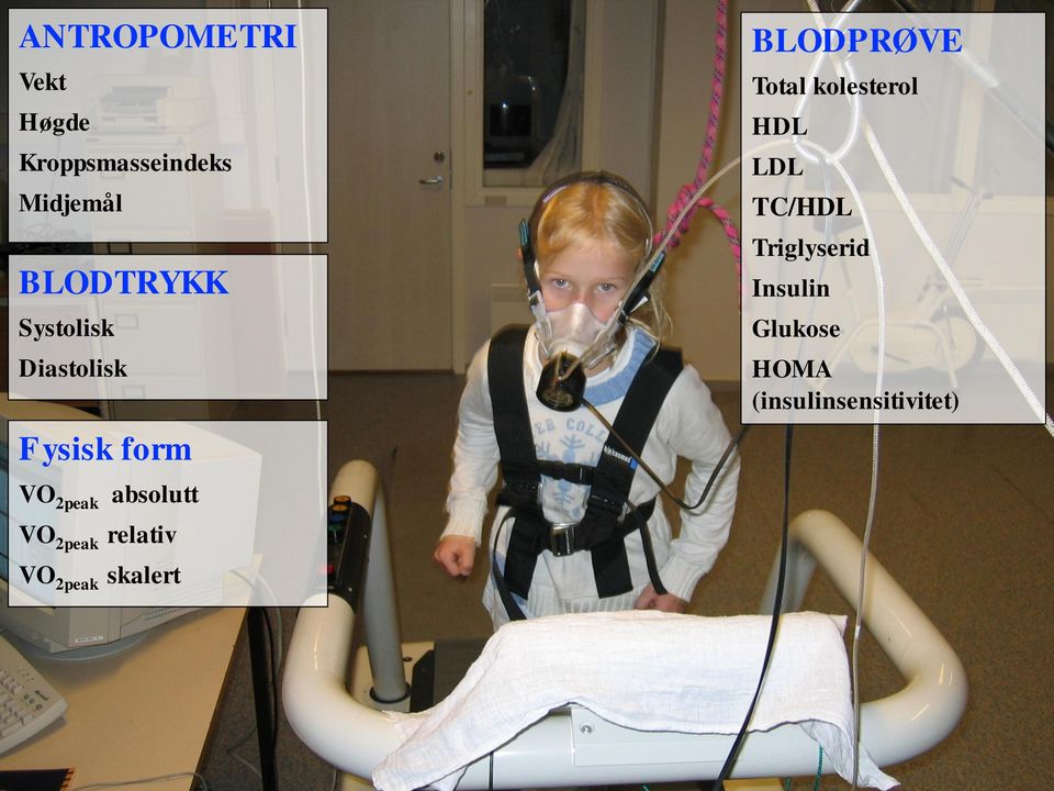 relativ VO 2peak skalert BLODPRØVE Total kolesterol HDL LDL