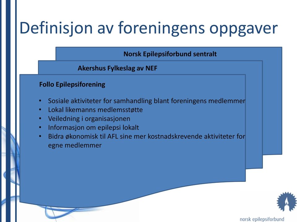 medlemmer Lokal likemanns medlemsstøtte Veiledning i organisasjonen Informasjon om