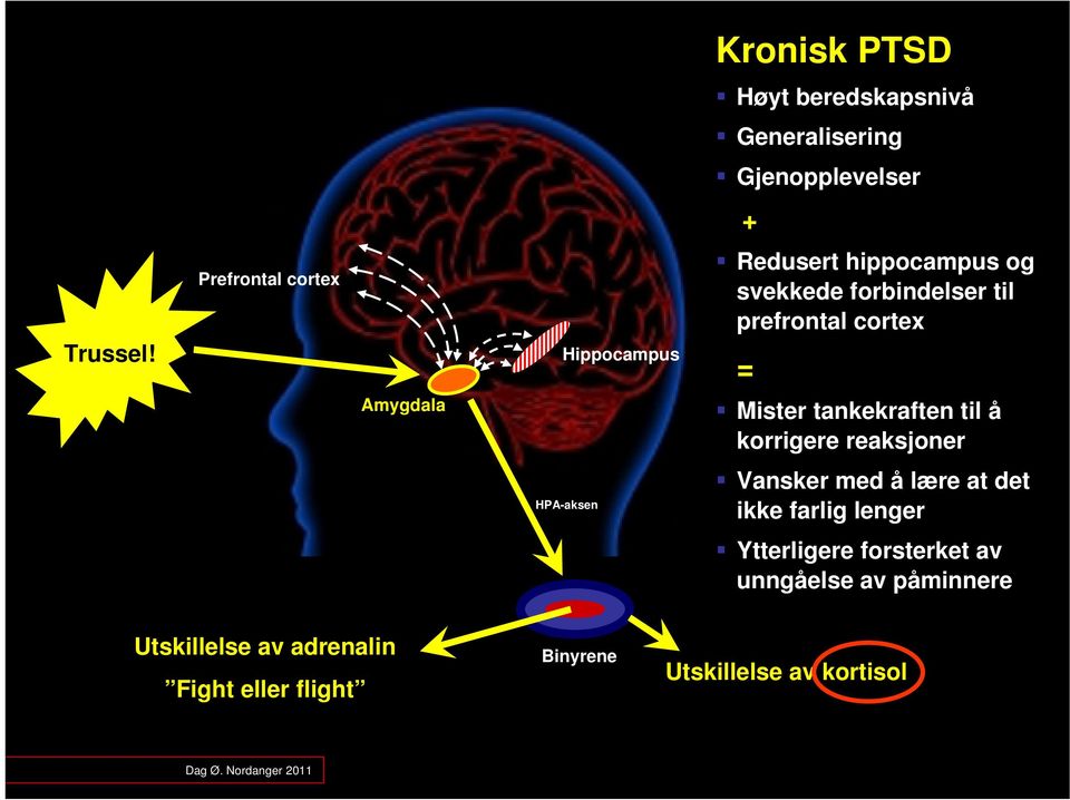 tankekraften til å korrigere reaksjoner HPA-aksen Vansker med å lære at det ikke farlig lenger Ytterligere