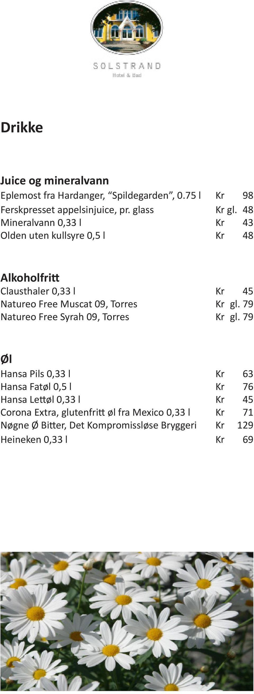 Torres Kr gl. 79 Natureo Free Syrah 09, Torres Kr gl.